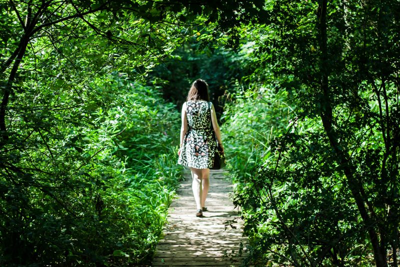 https://mdw-travel-data-us-east-1.s3.amazonaws.com/img/country/United-Kingdom/Fletcher-Moss-Botanical-Garden/img_02.jpg