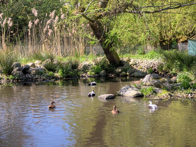 https://mdw-travel-data-us-east-1.s3.amazonaws.com/img/country/United-Kingdom/Martin-Mere-Wetland-Centre/img_02.jpg