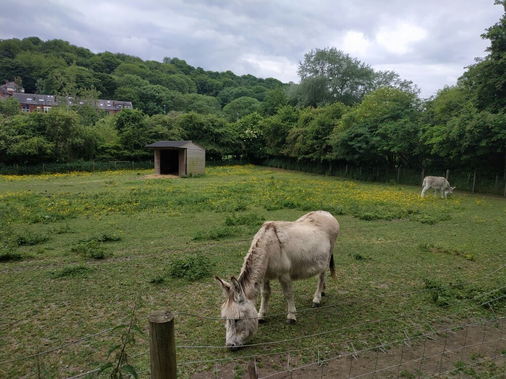 https://mdw-travel-data-us-east-1.s3.amazonaws.com/img/country/United-Kingdom/Meanwood-Valley-Urban-Farm/img_03.jpg