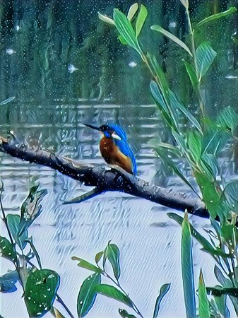 https://mdw-travel-data-us-east-1.s3.amazonaws.com/img/country/United-Kingdom/Mere-Sands-Wood/img_01.jpg
