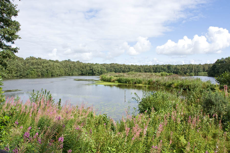 https://mdw-travel-data-us-east-1.s3.amazonaws.com/img/country/United-Kingdom/Mere-Sands-Wood/img_02.jpg