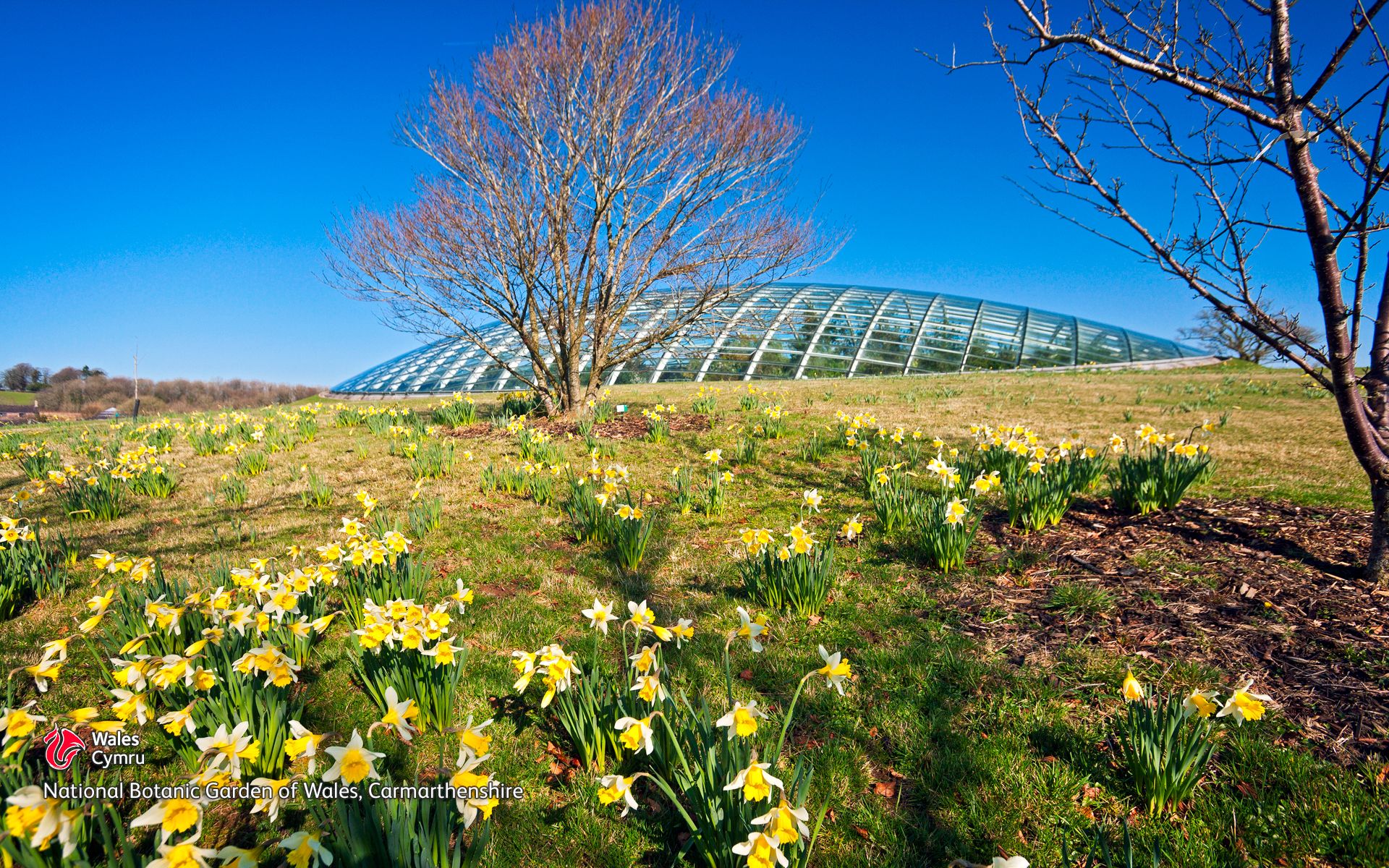 https://mdw-travel-data-us-east-1.s3.amazonaws.com/img/country/United-Kingdom/National-Botanic-Garden-of-Wales/img_02.jpg