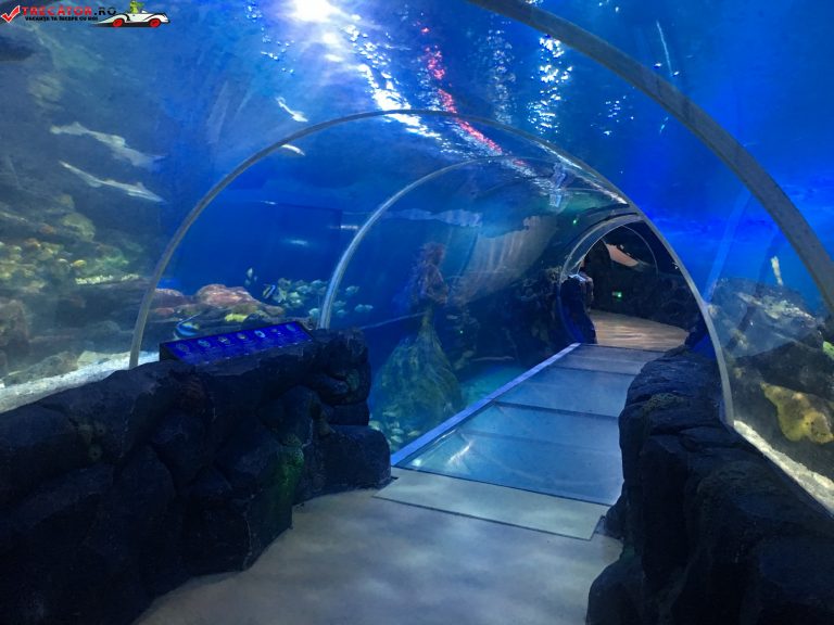 https://mdw-travel-data-us-east-1.s3.amazonaws.com/img/country/United-Kingdom/National-SEA-LIFE-Centre-Birmingham/img_03.jpg