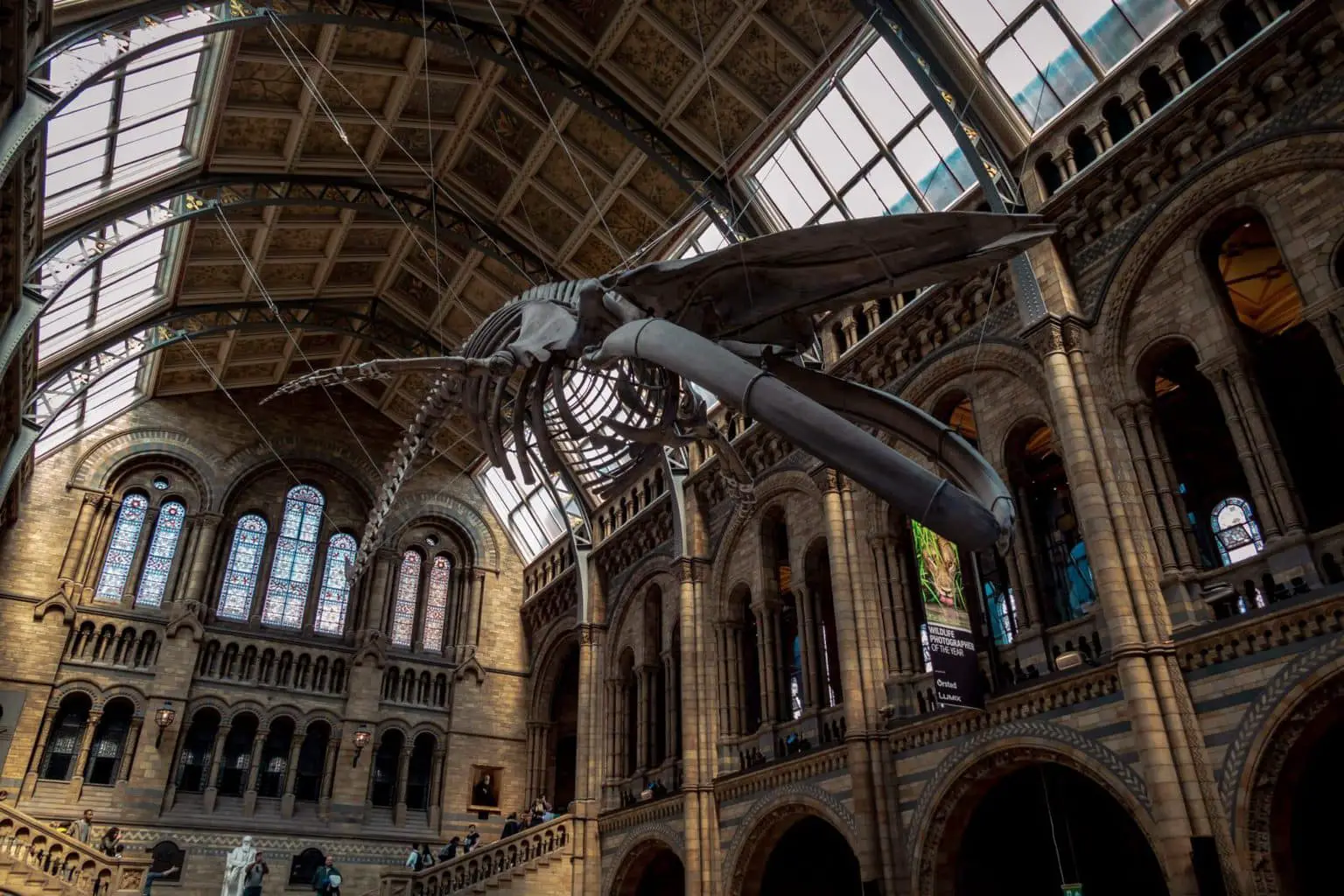 https://mdw-travel-data-us-east-1.s3.amazonaws.com/img/country/United-Kingdom/Natural-History-Museum/img_03.jpg