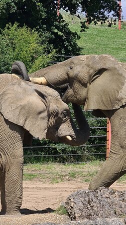 https://mdw-travel-data-us-east-1.s3.amazonaws.com/img/country/United-Kingdom/Noahs-Ark-Zoo-Farm/img_01.jpg