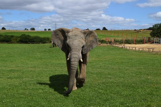https://mdw-travel-data-us-east-1.s3.amazonaws.com/img/country/United-Kingdom/Noahs-Ark-Zoo-Farm/img_03.jpg