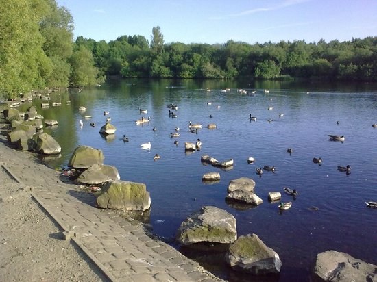 https://mdw-travel-data-us-east-1.s3.amazonaws.com/img/country/United-Kingdom/Pennington-Flash-Country-Park/img_02.jpg