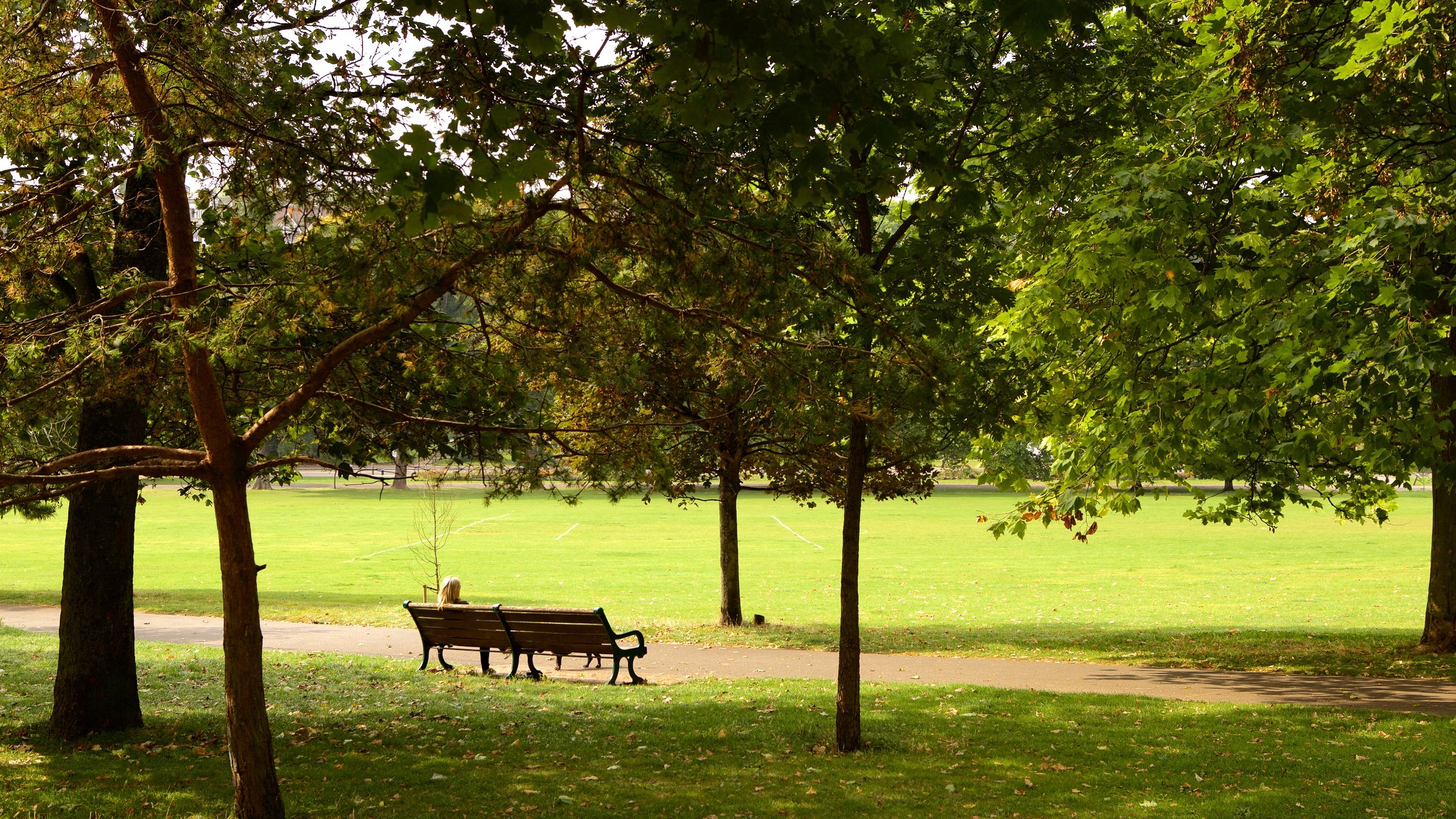 https://mdw-travel-data-us-east-1.s3.amazonaws.com/img/country/United-Kingdom/Preston-Park/img_00.jpg