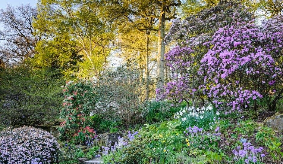 https://mdw-travel-data-us-east-1.s3.amazonaws.com/img/country/United-Kingdom/RHS-Garden-Harlow-Carr/img_01.jpg