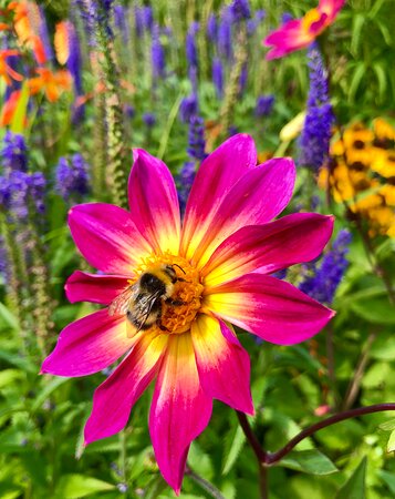 https://mdw-travel-data-us-east-1.s3.amazonaws.com/img/country/United-Kingdom/RHS-Garden-Harlow-Carr/img_03.jpg