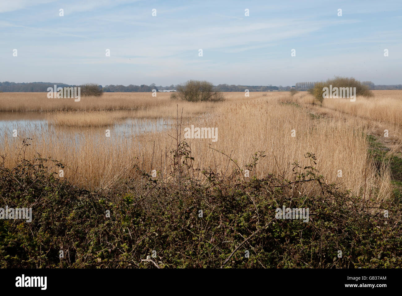 https://mdw-travel-data-us-east-1.s3.amazonaws.com/img/country/United-Kingdom/RSPB-Minsmere/img_03.jpg
