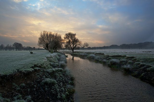 https://mdw-travel-data-us-east-1.s3.amazonaws.com/img/country/United-Kingdom/Richmond-Park/img_00.jpg