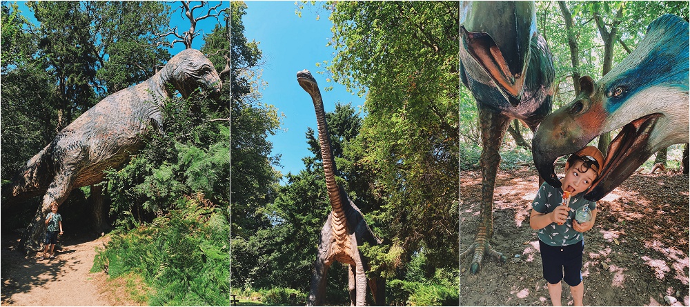 https://mdw-travel-data-us-east-1.s3.amazonaws.com/img/country/United-Kingdom/Roarr!-Dinosaur-Adventure/img_01.jpg