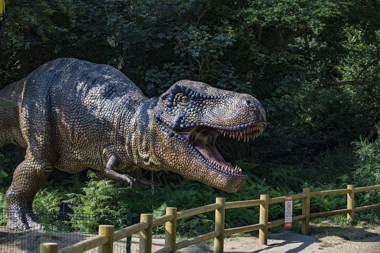 https://mdw-travel-data-us-east-1.s3.amazonaws.com/img/country/United-Kingdom/Roarr!-Dinosaur-Adventure/img_03.jpg
