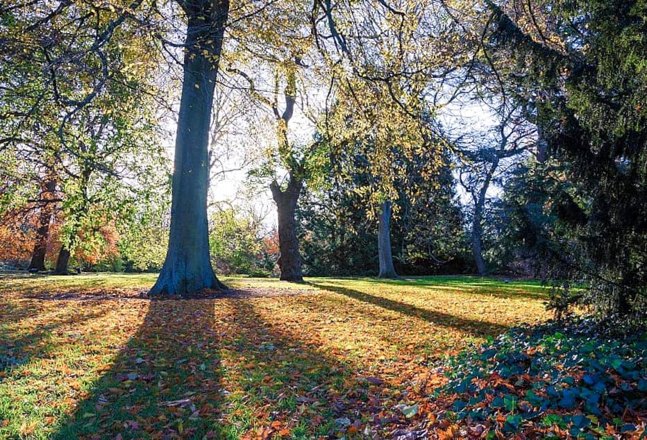 https://mdw-travel-data-us-east-1.s3.amazonaws.com/img/country/United-Kingdom/Royal-Botanic-Garden-Edinburgh/img_02.jpg