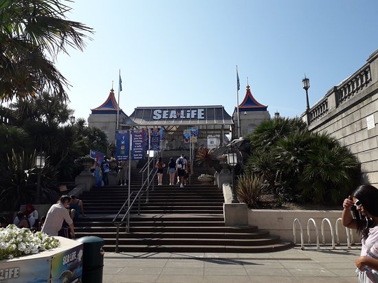 https://mdw-travel-data-us-east-1.s3.amazonaws.com/img/country/United-Kingdom/Sea-Life-Brighton/img_01.jpg