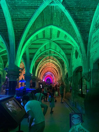 https://mdw-travel-data-us-east-1.s3.amazonaws.com/img/country/United-Kingdom/Sea-Life-Brighton/img_03.jpg