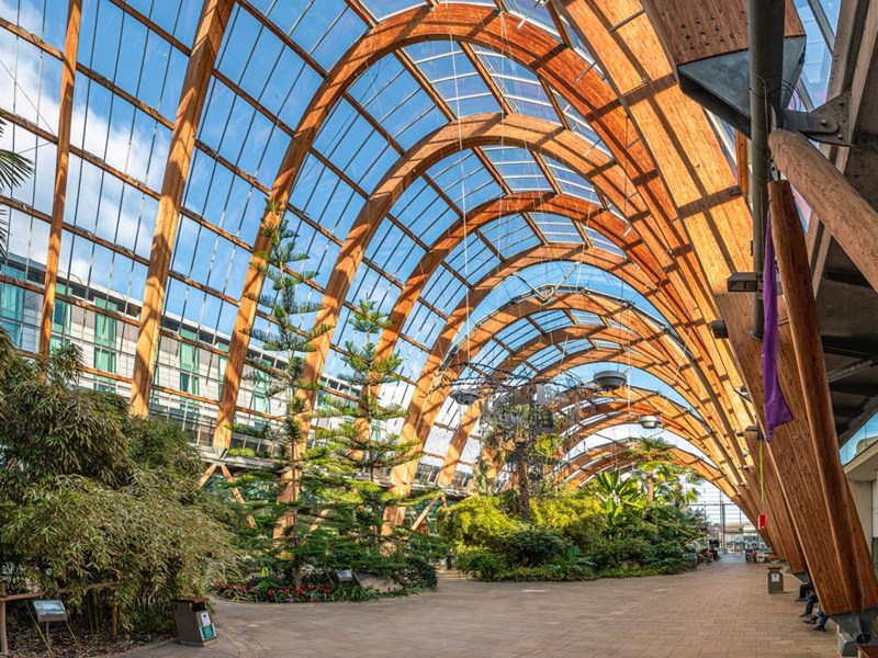 https://mdw-travel-data-us-east-1.s3.amazonaws.com/img/country/United-Kingdom/Sheffield-Winter-Garden/img_00.jpg