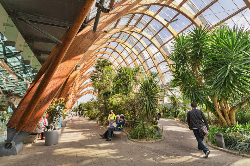 https://mdw-travel-data-us-east-1.s3.amazonaws.com/img/country/United-Kingdom/Sheffield-Winter-Garden/img_01.jpg