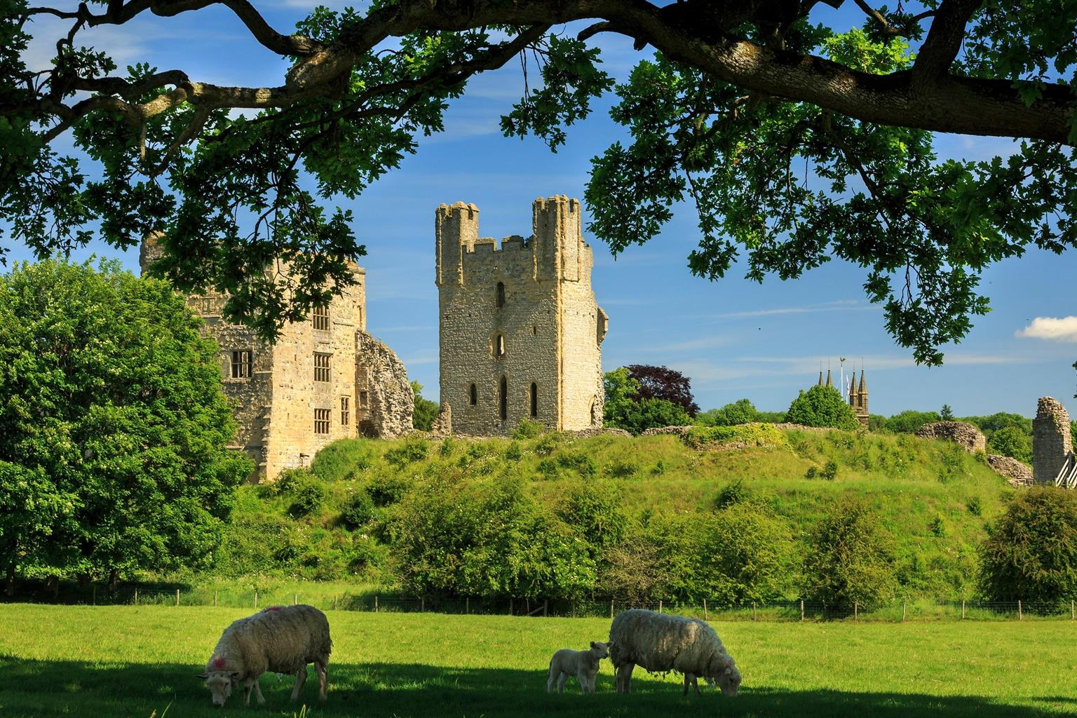 https://mdw-travel-data-us-east-1.s3.amazonaws.com/img/country/United-Kingdom/Sutton-Bank-National-Park-Centre/img_03.jpg