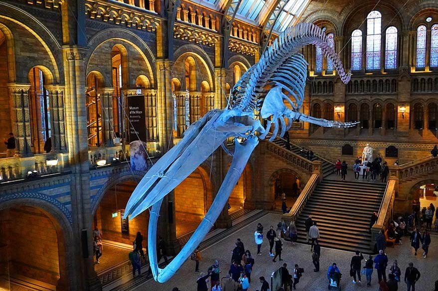 https://mdw-travel-data-us-east-1.s3.amazonaws.com/img/country/United-Kingdom/The-Natural-History-Museum/img_01.jpg