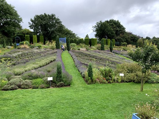 https://mdw-travel-data-us-east-1.s3.amazonaws.com/img/country/United-Kingdom/Yorkshire-Lavender/img_01.jpg
