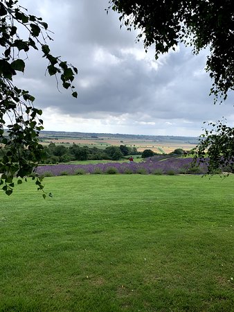 https://mdw-travel-data-us-east-1.s3.amazonaws.com/img/country/United-Kingdom/Yorkshire-Lavender/img_03.jpg