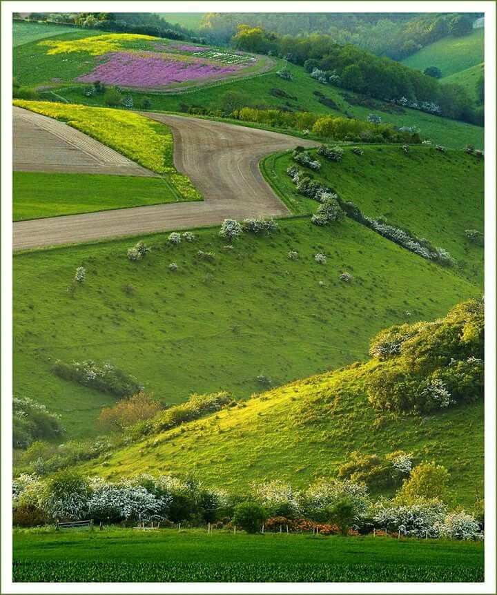https://mdw-travel-data-us-east-1.s3.amazonaws.com/img/country/United-Kingdom/Yorkshire-Wolds-Way-National-Trail/img_03.jpg