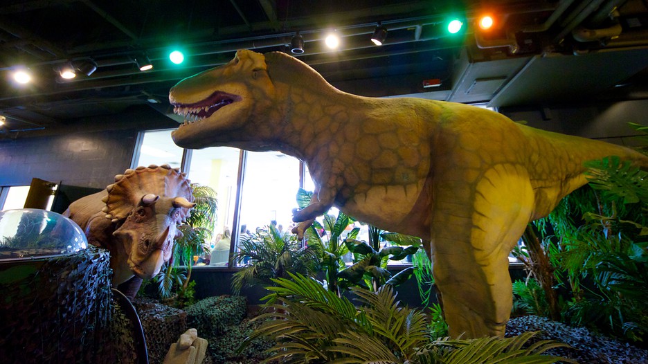 https://mdw-travel-data-us-east-1.s3.amazonaws.com/img/country/United-States/Adventure-Science-Center/img_01.jpg