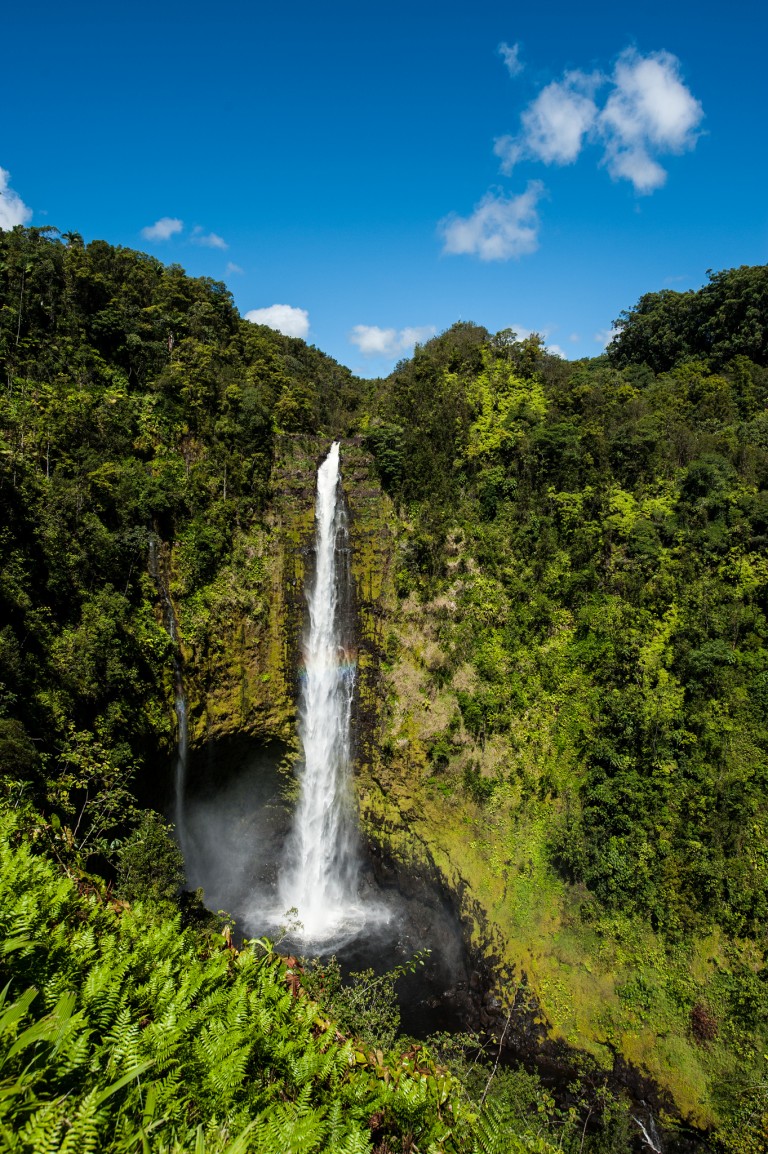 https://mdw-travel-data-us-east-1.s3.amazonaws.com/img/country/United-States/Akaka-Falls-State-Park/img_01.jpg