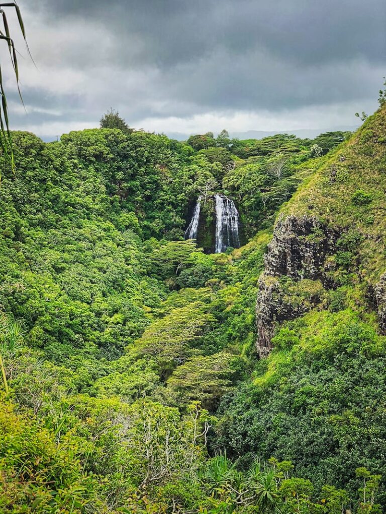 https://mdw-travel-data-us-east-1.s3.amazonaws.com/img/country/United-States/Akaka-Falls-State-Park/img_02.jpg