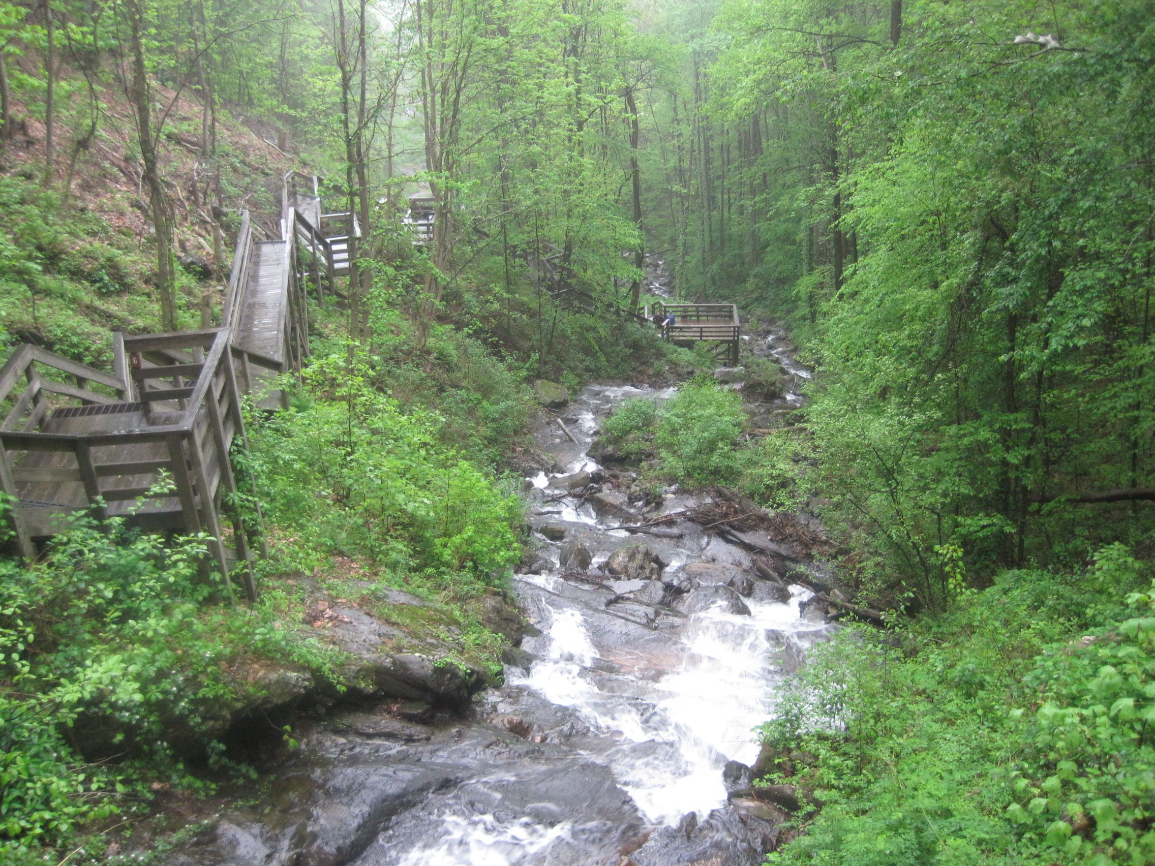 https://mdw-travel-data-us-east-1.s3.amazonaws.com/img/country/United-States/Amicalola-Falls-State-Park/img_01.jpg