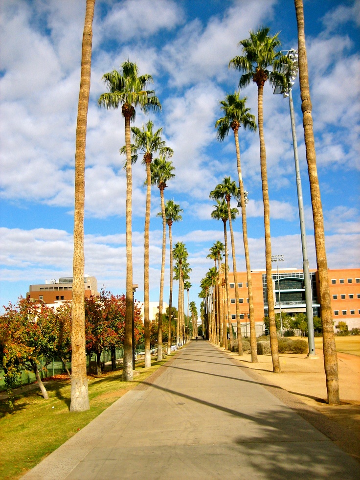 https://mdw-travel-data-us-east-1.s3.amazonaws.com/img/country/United-States/Arizona-State-University/img_02.jpg