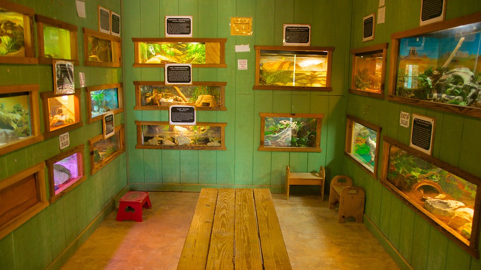 https://mdw-travel-data-us-east-1.s3.amazonaws.com/img/country/United-States/Austin-Zoo/img_01.jpg