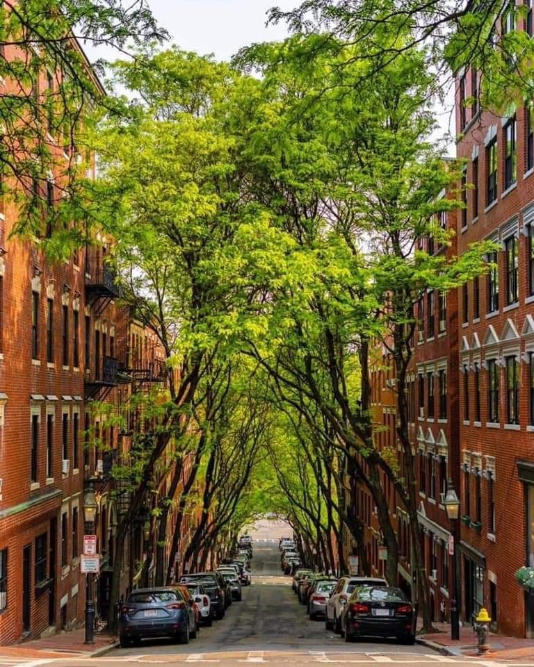 https://mdw-travel-data-us-east-1.s3.amazonaws.com/img/country/United-States/Beacon-Hill/img_00.jpg