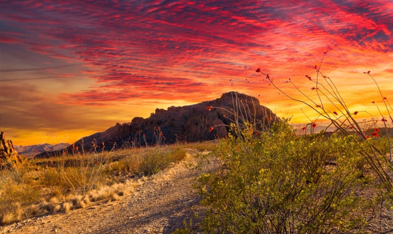 https://mdw-travel-data-us-east-1.s3.amazonaws.com/img/country/United-States/Big-Bend-National-Park/img_02.jpg