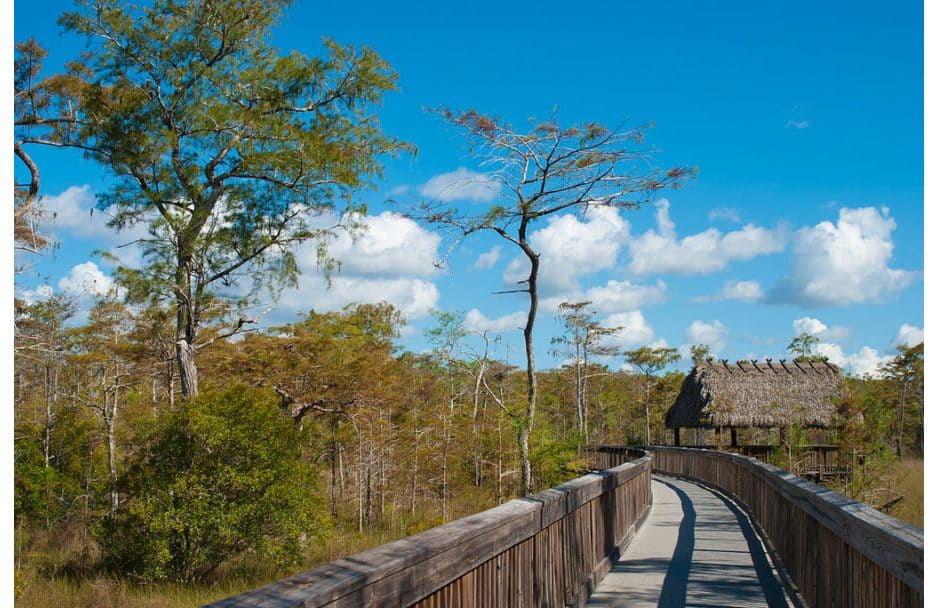 https://mdw-travel-data-us-east-1.s3.amazonaws.com/img/country/United-States/Big-Cypress-National-Preserve/img_01.jpg