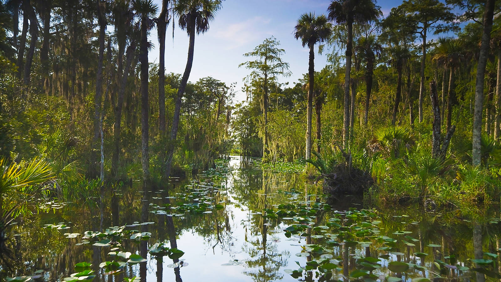 https://mdw-travel-data-us-east-1.s3.amazonaws.com/img/country/United-States/Big-Cypress-National-Preserve/img_03.jpg