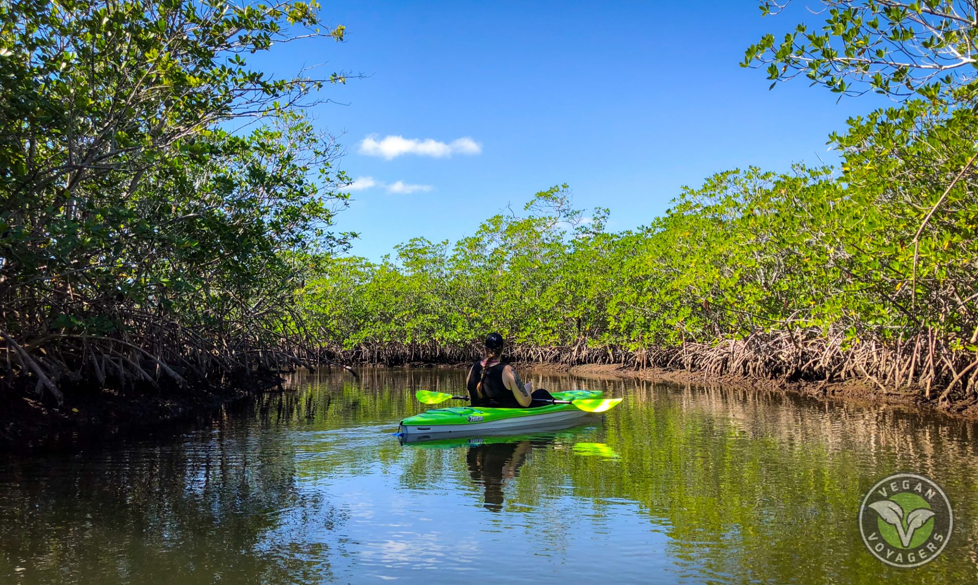 https://mdw-travel-data-us-east-1.s3.amazonaws.com/img/country/United-States/Biscayne-National-Park/img_04.jpg
