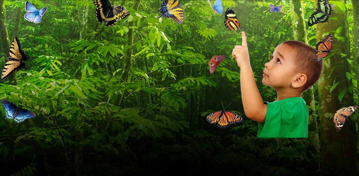 https://mdw-travel-data-us-east-1.s3.amazonaws.com/img/country/United-States/Butterfly-Wonderland/img_01.jpg