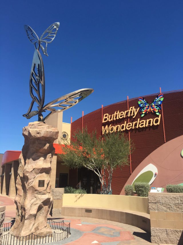 https://mdw-travel-data-us-east-1.s3.amazonaws.com/img/country/United-States/Butterfly-Wonderland/img_03.jpg