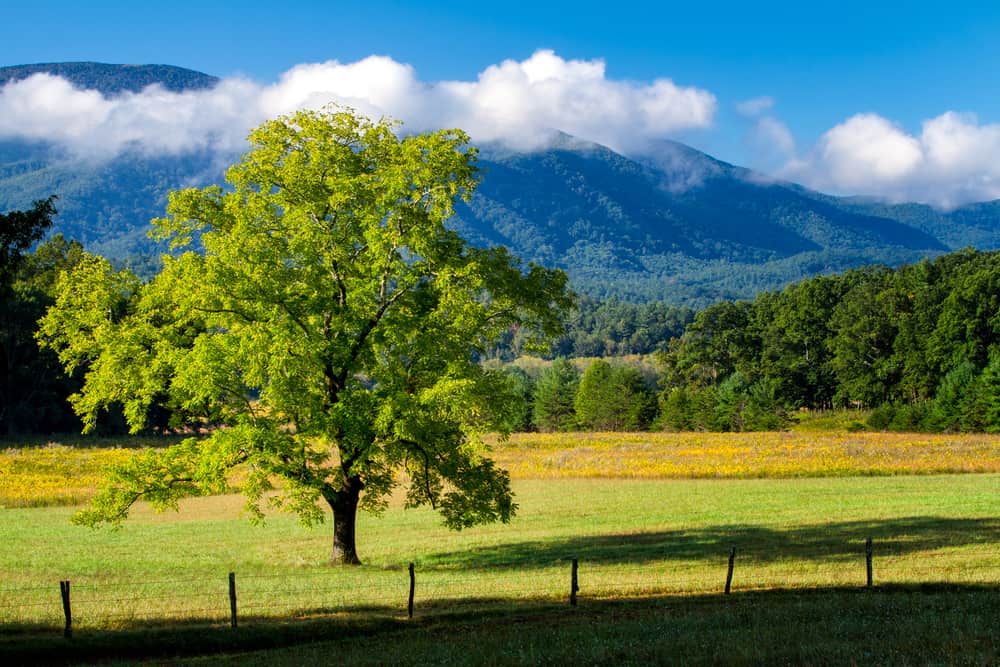 https://mdw-travel-data-us-east-1.s3.amazonaws.com/img/country/United-States/Cades-Cove/img_03.jpg