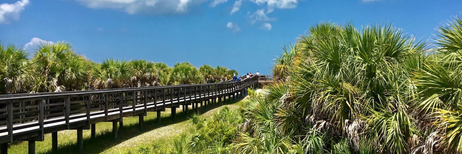 https://mdw-travel-data-us-east-1.s3.amazonaws.com/img/country/United-States/Caladesi-Island-State-Park/img_01.jpg