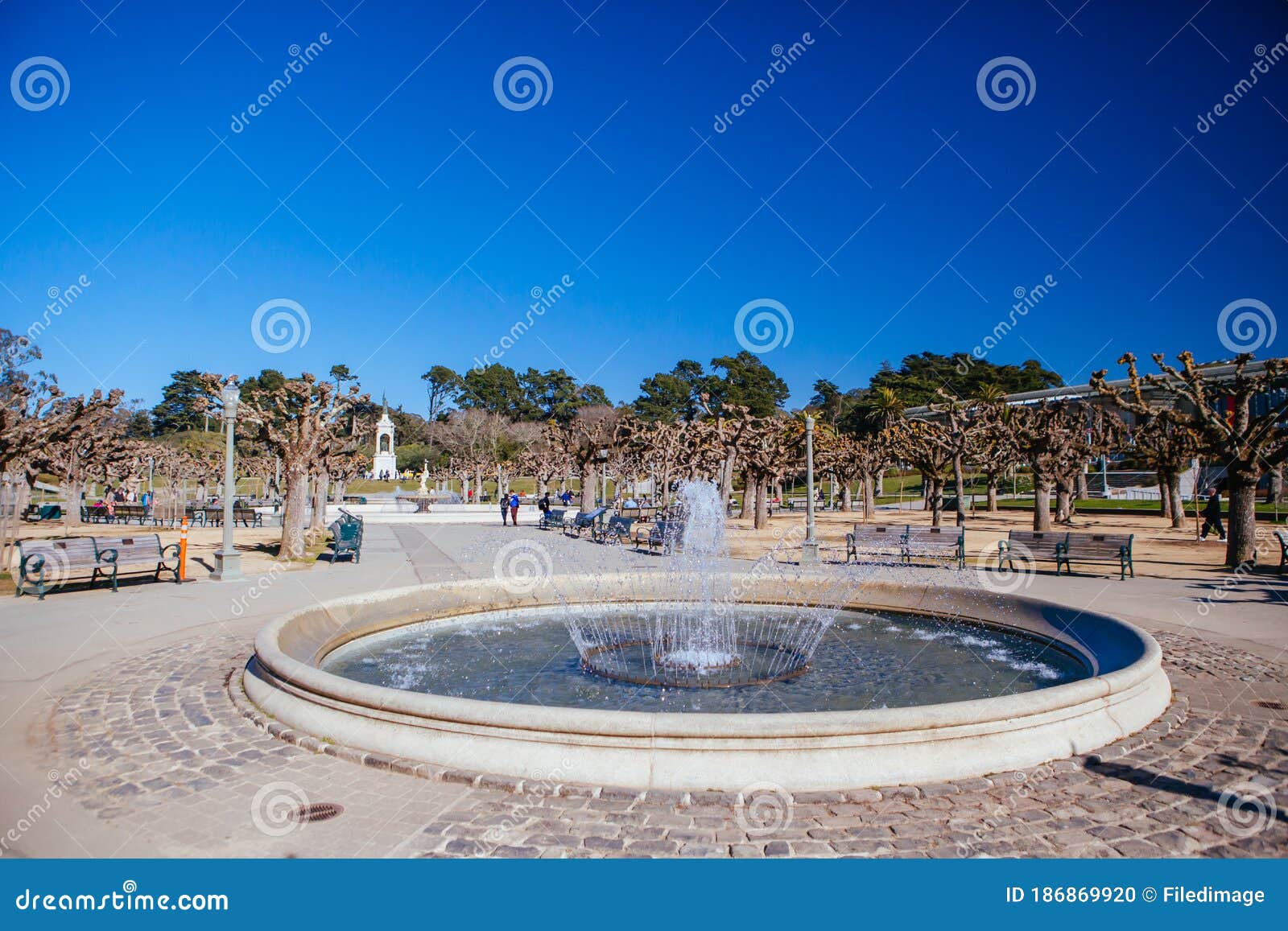 https://mdw-travel-data-us-east-1.s3.amazonaws.com/img/country/United-States/California-Academy-of-Sciences/img_02.jpg