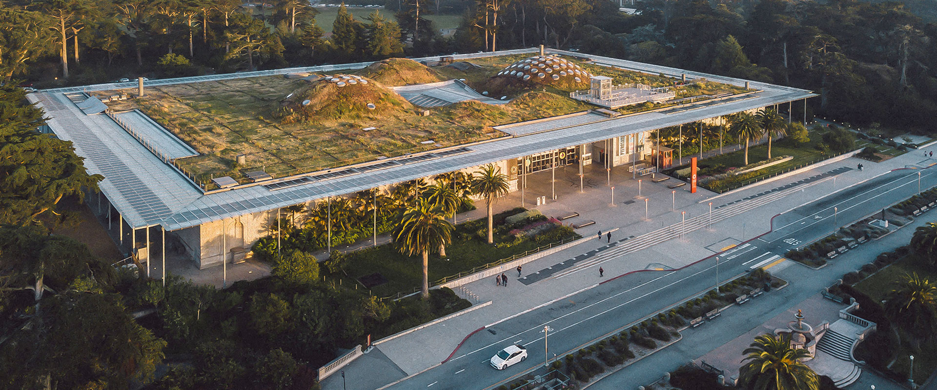 https://mdw-travel-data-us-east-1.s3.amazonaws.com/img/country/United-States/California-Academy-of-Sciences/img_03.jpg