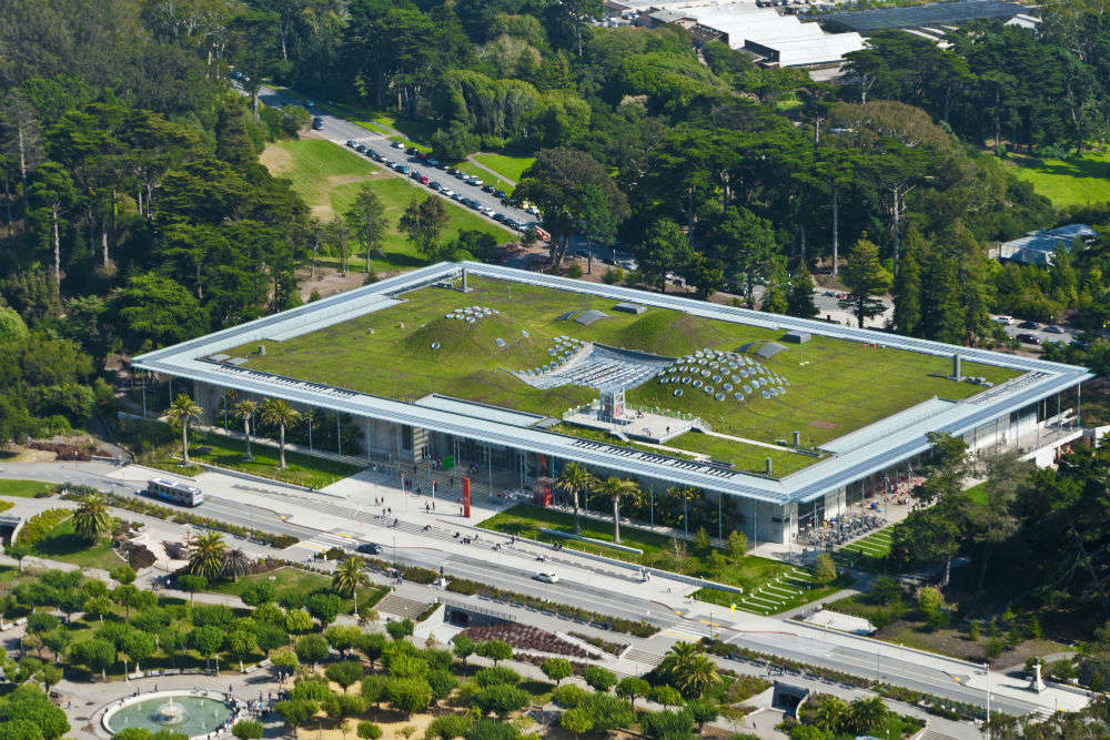 https://mdw-travel-data-us-east-1.s3.amazonaws.com/img/country/United-States/California-Academy-of-Sciences/img_04.jpg