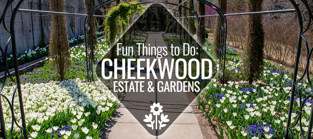 https://mdw-travel-data-us-east-1.s3.amazonaws.com/img/country/United-States/Cheekwood-Estate-and-Gardens/img_03.jpg