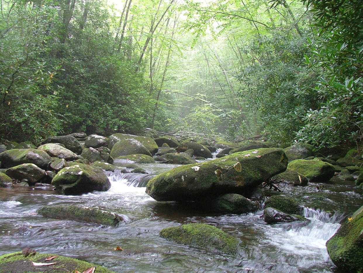 https://mdw-travel-data-us-east-1.s3.amazonaws.com/img/country/United-States/Cherokee-National-Forest/img_03.jpg