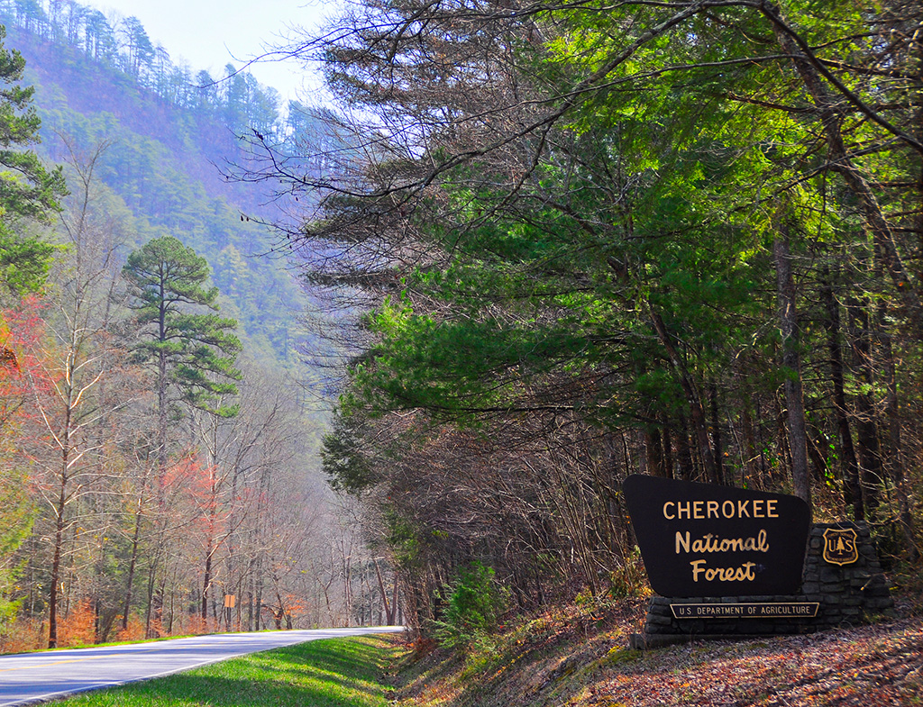 https://mdw-travel-data-us-east-1.s3.amazonaws.com/img/country/United-States/Cherokee-National-Forest/img_04.jpg