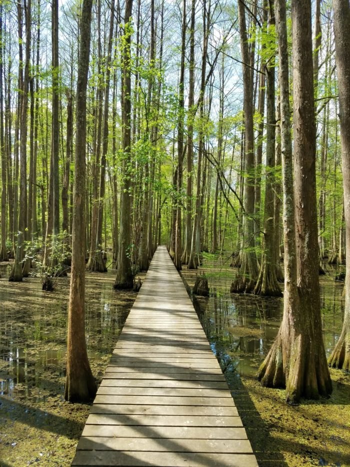 https://mdw-travel-data-us-east-1.s3.amazonaws.com/img/country/United-States/Chicot-State-Park/img_02.jpg